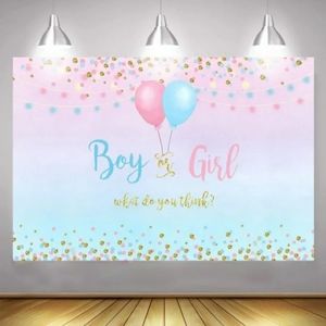 Gender reveal backdrop